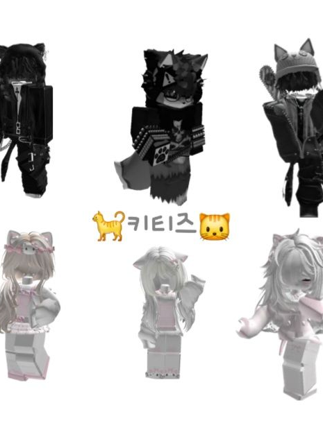 🐈키티즈🐱 대표 이미지