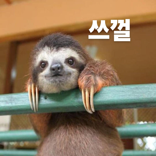 김주탑 대표 이미지