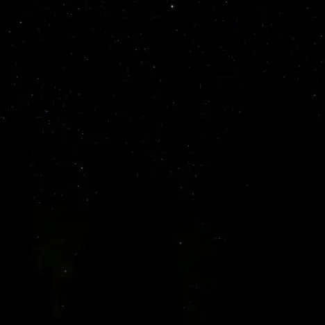 Wohehe의 [bl] 운동코치