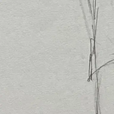 Profile image of 一宮