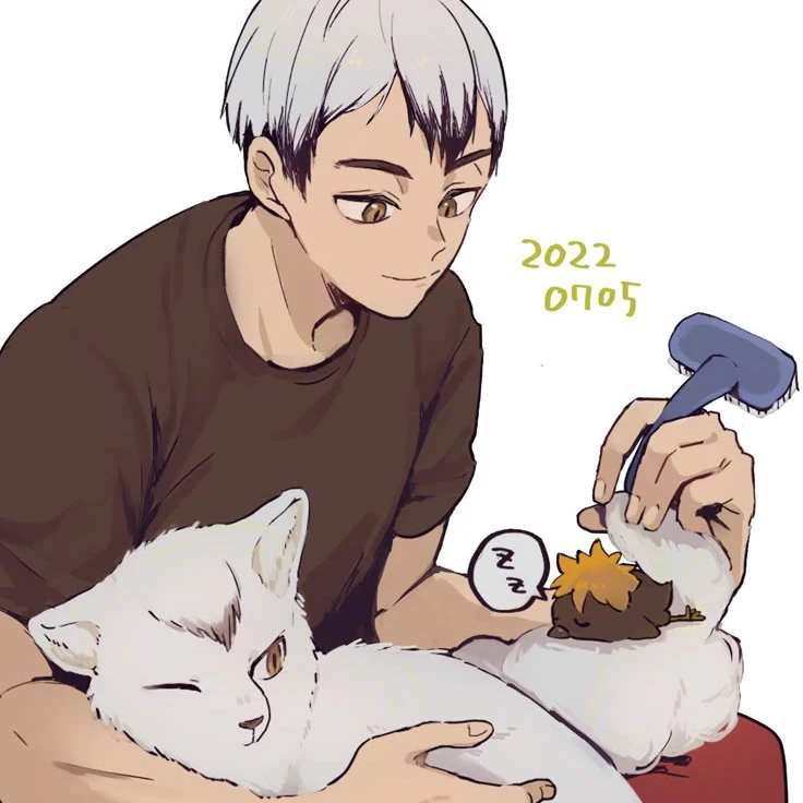 키타 신스케