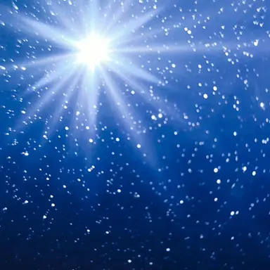 Profile image of 星