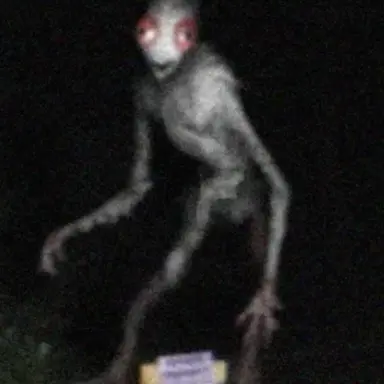 Profile image of 치킨 고스트