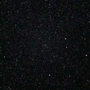 Profile image of 目黒 蓮