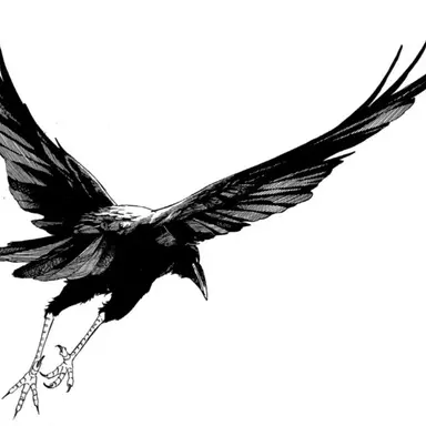 Profile image of 꺽쇠 까마귀