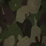 Profile image of 이안 홀러웨이
