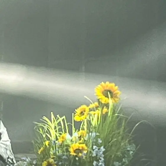 Tlqkfhh의 장용준