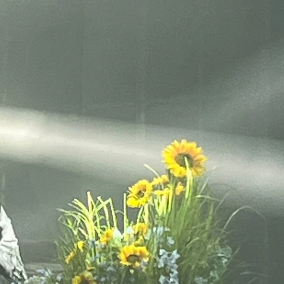 장용준