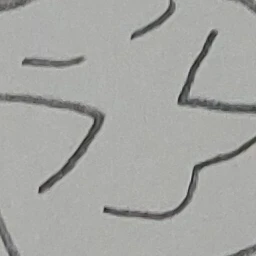 이탈리안 브레인롯