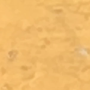ガイ