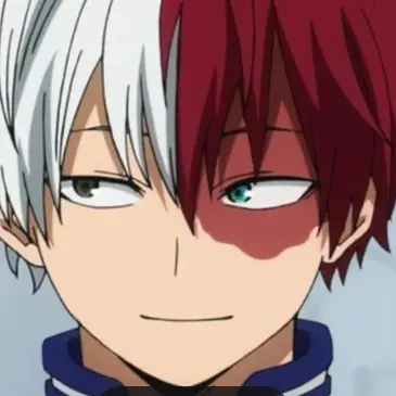 Profile image of shoto Todoroki
