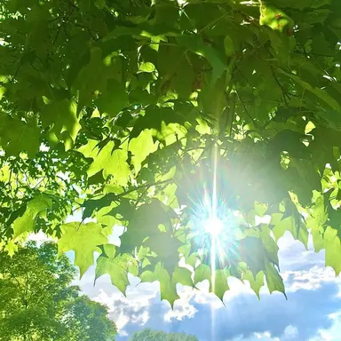 Profile image of 형준