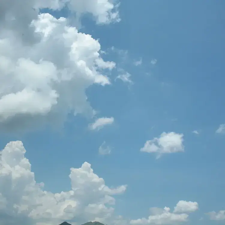 CloudyBrake5200의 심한감기몸살에 걸린 검정..