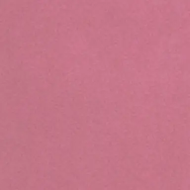 Profile image of ニェン