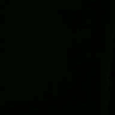 Profile image of 김필숙