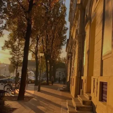 Profile image of 덕개