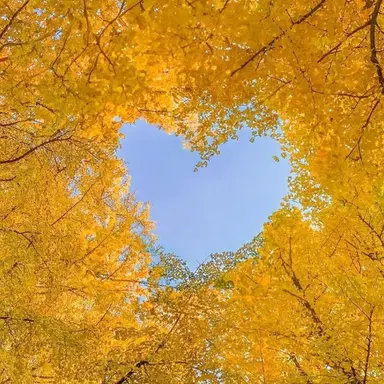 Profile image of 각별