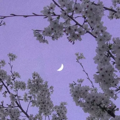 Profile image of 수현