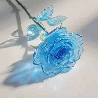 Profile image of 잠뜰