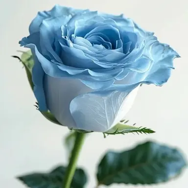 Profile image of 잠뜰