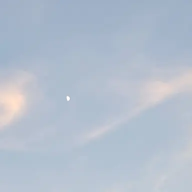 Profile image of 유리온