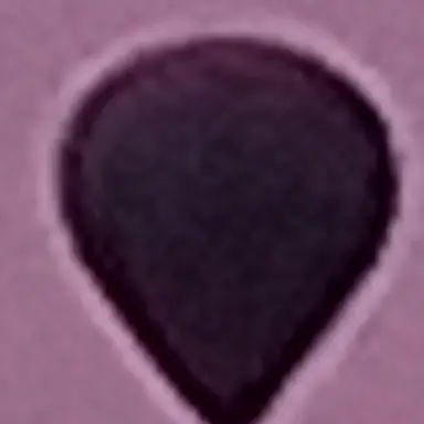 Profile image of 유튭중