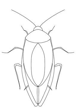 Profile image of 여우