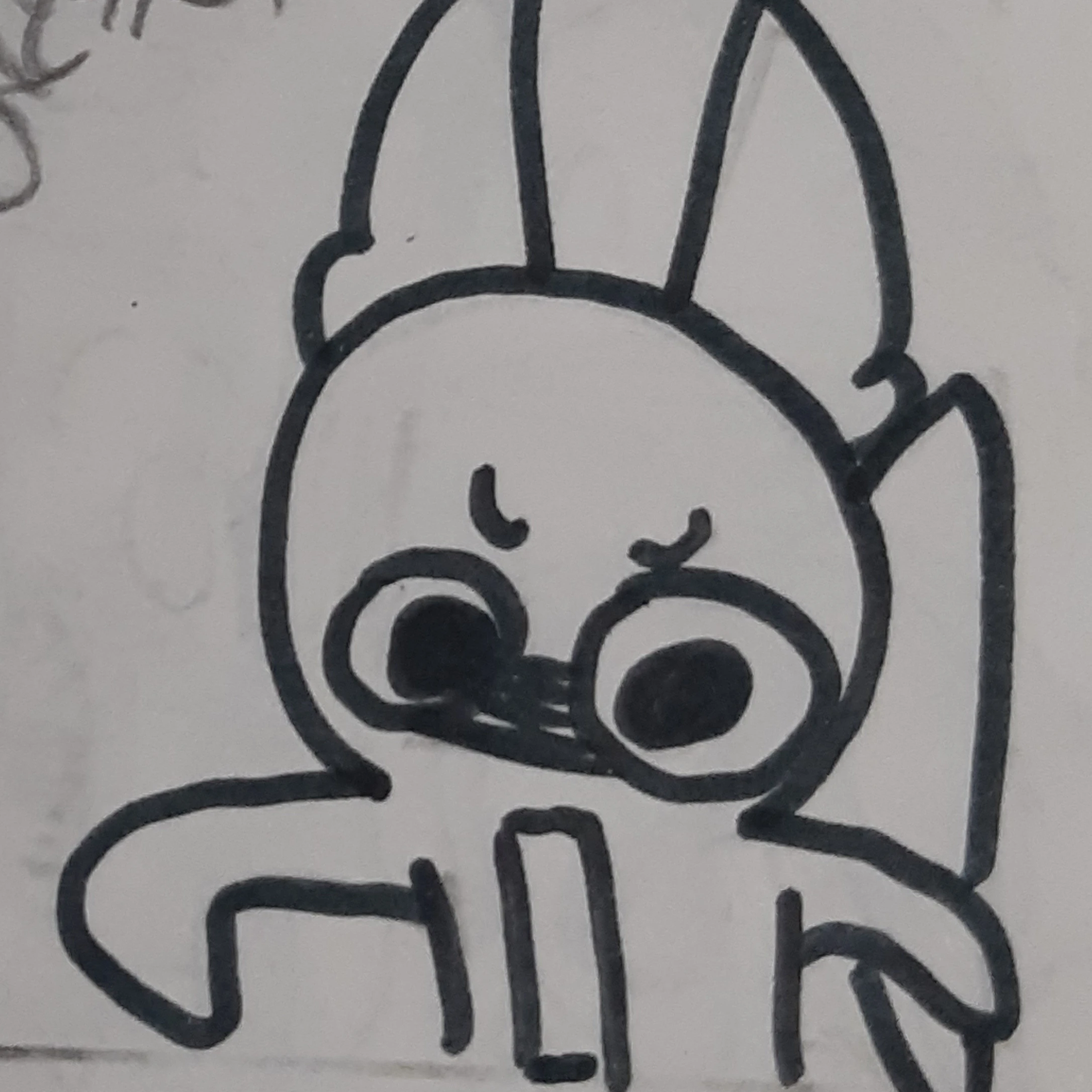 김여우