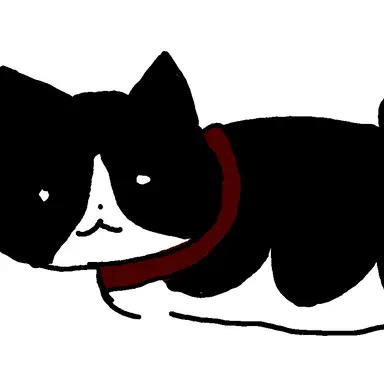 Profile image of 고영히히