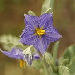 Profile image of 友達