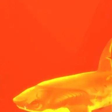 Profile image of 라더
