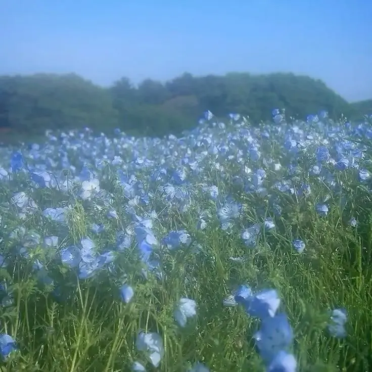 LargeSeed2310의 必ず帰ってくるから。