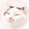 Profile image of みーちゃん