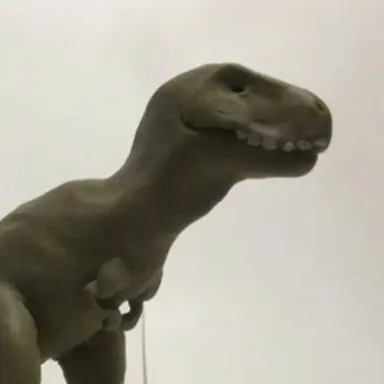 Profile image of 타라칸