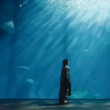 Profile image of 大森元貴