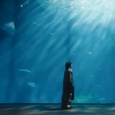 Eilias5160의 水族館。