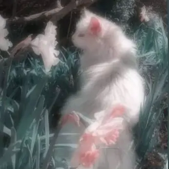 Profile image of 不破湊