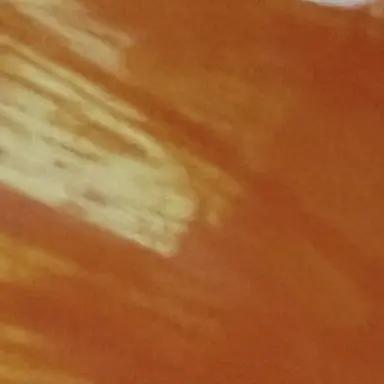 Profile image of ヴェルトアル