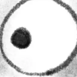 Profile image of 배우분들