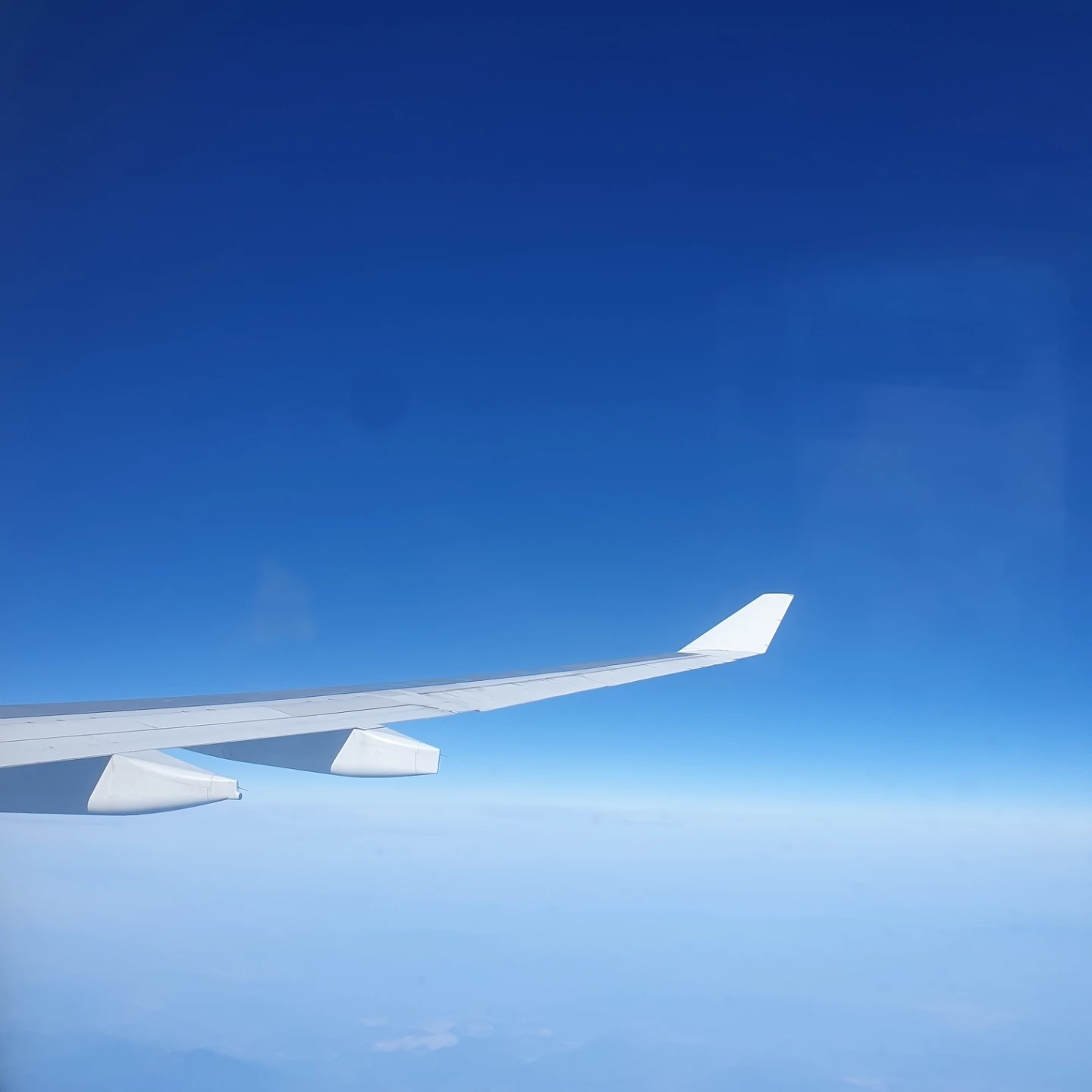 다크카카오쿠키