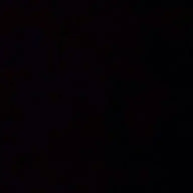 Profile image of 백사헌