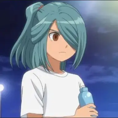 Profile image of 風丸一郎太