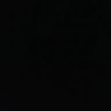 Profile image of 동영배