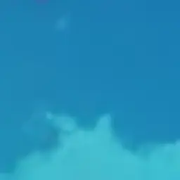 Profile image of Teachers