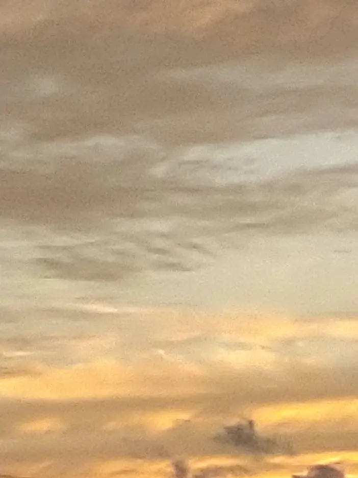 ShabbyRock5226의 気おつけろよな☆！