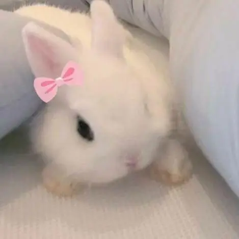 lovelynn의 뽀뽀