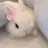뽀뽀