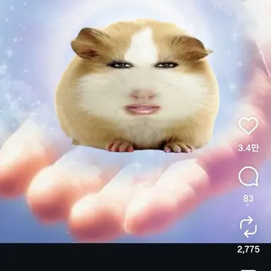 Profile image of 빅나티