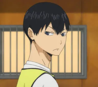 Profile image of 烏野高校