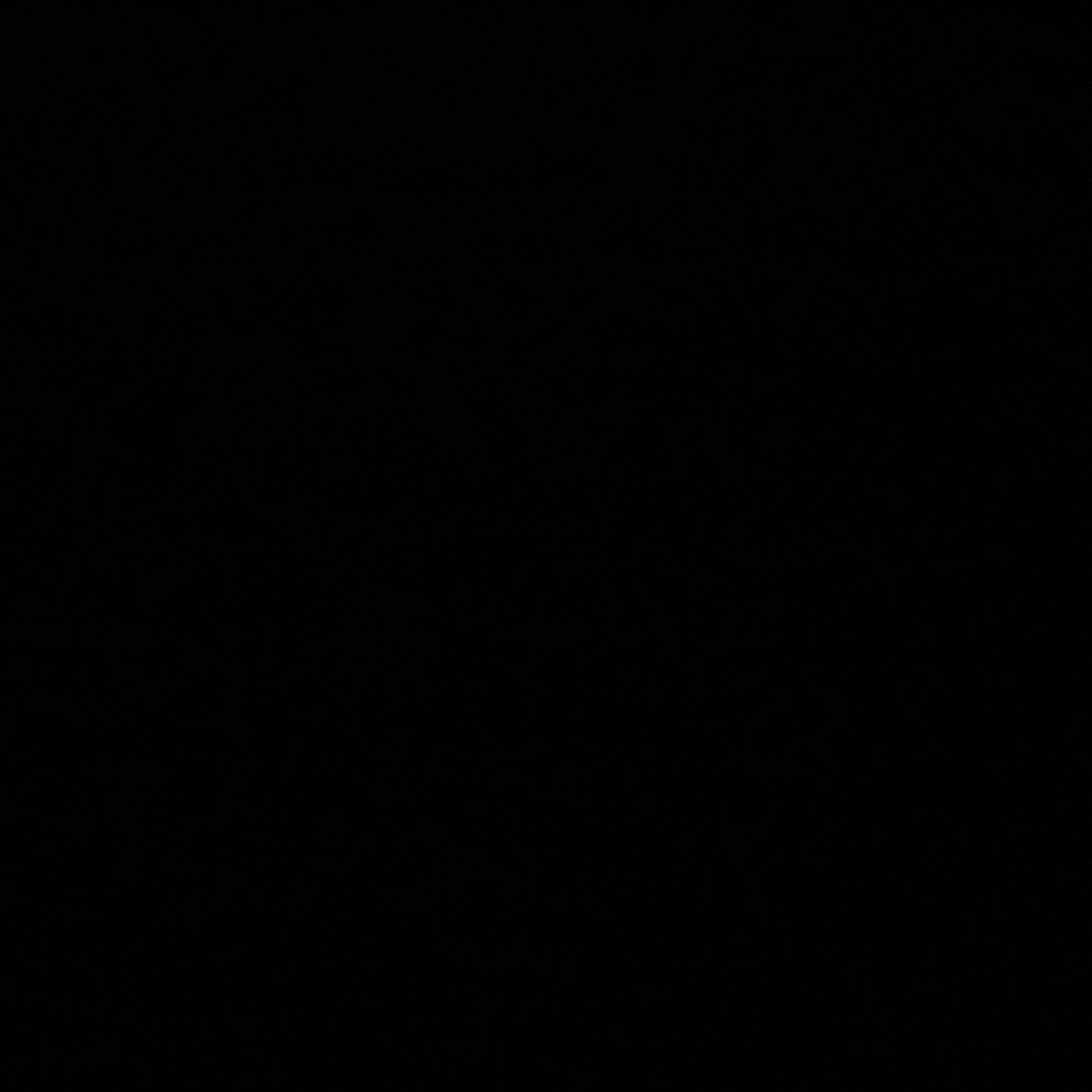윤정핝